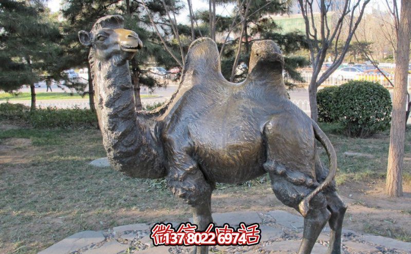 創(chuàng)意大型玻璃鋼駱駝雕塑，在草地上擺放，一眼回頭