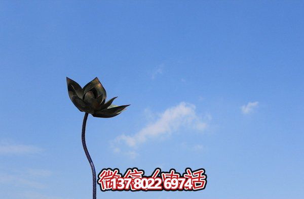 創(chuàng)意荷花銅鑄雕塑 創(chuàng)意荷花銅鑄雕塑