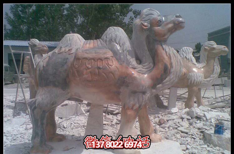 街道邊擺放的花崗巖創(chuàng)意駱駝雕塑 街道邊擺放的花崗巖創(chuàng)意駱駝雕塑