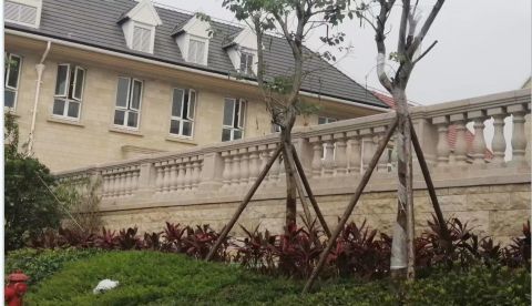 微信截圖_20250320110337 微信截圖_20250320110337